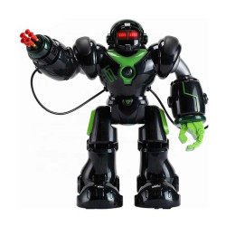 Intelligent rc Fighting Humanoid Robot