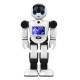 Intelligent Humanoid Smart Robot Voice Control Dancing Robot Intelligent Humanoid Smart Robot Voice Control Dancing Robot