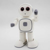 Reeman Robot Toy 