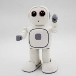 Reeman Robot Toy 
