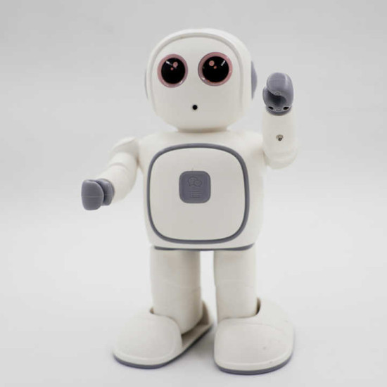 Reeman Robot Toy Reeman Robot Toy