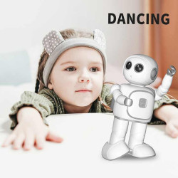 Reeman Robot Toy 