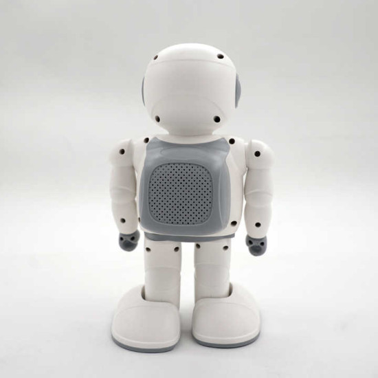 Reeman Robot Toy Reeman Robot Toy